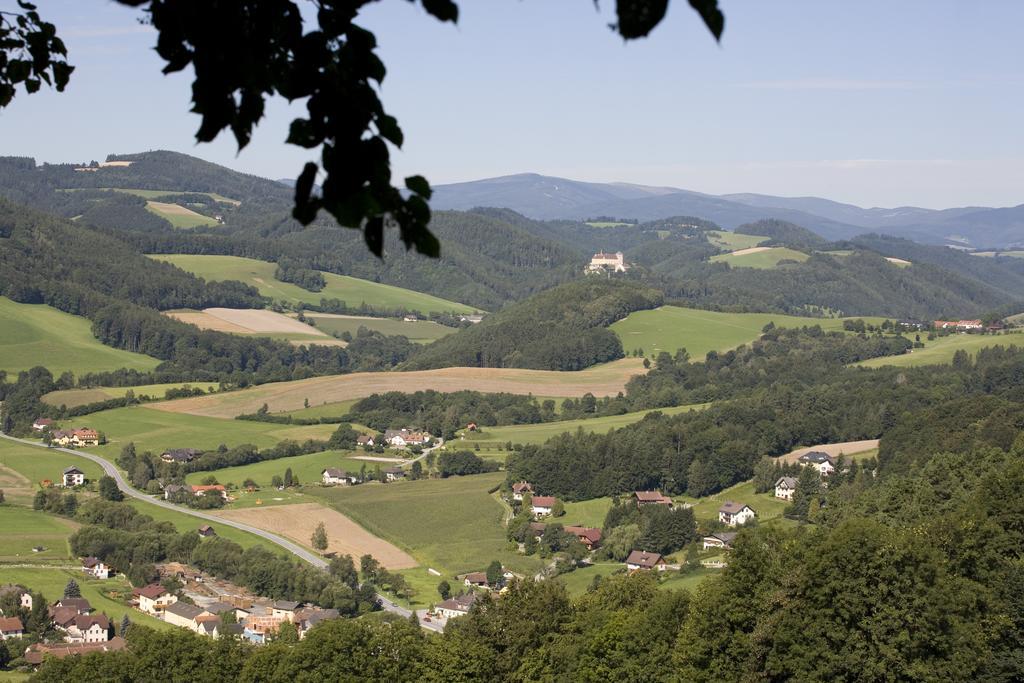Geniesserpension Dopler - Zur Schonen Au Bad Schönau Dış mekan fotoğraf